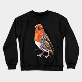 Robin 2 Crewneck Sweatshirt